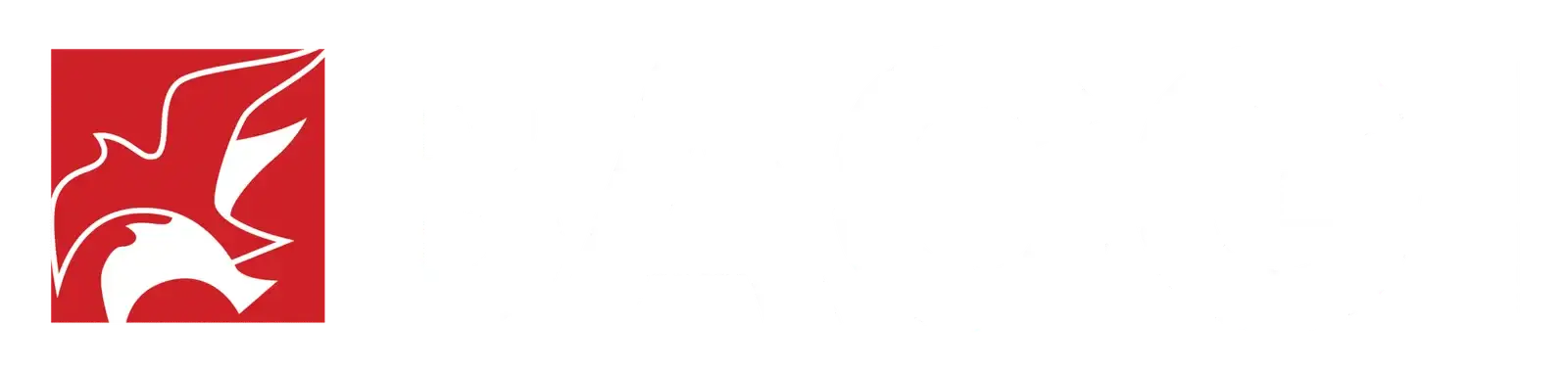 Baggi